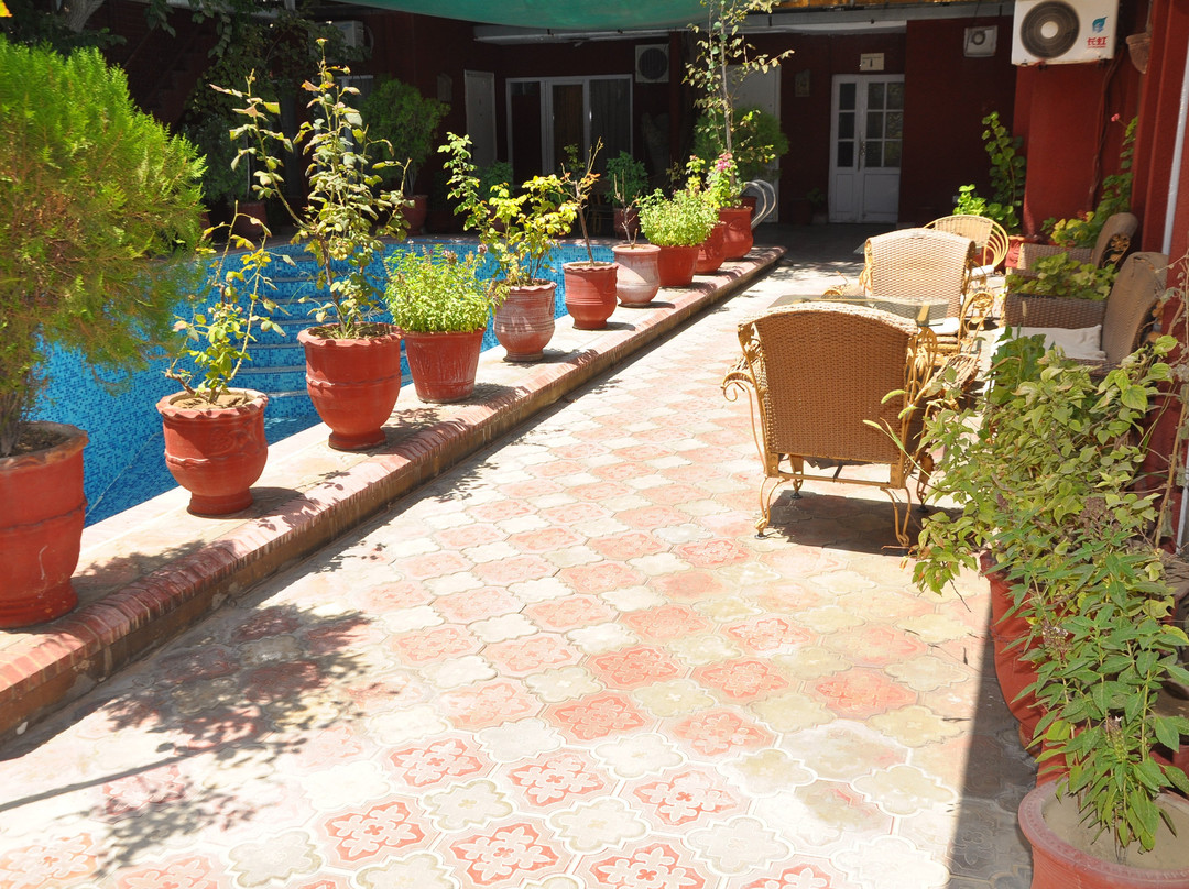 Marco Polo Inn主图