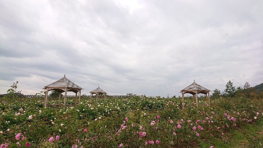 Sera Kogen Farm景点图片