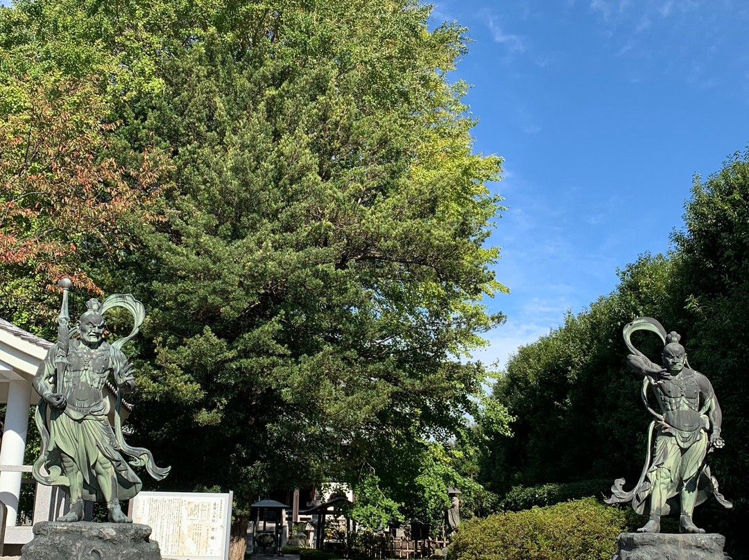 Shoukoku-ji Temple-座间市必去景点