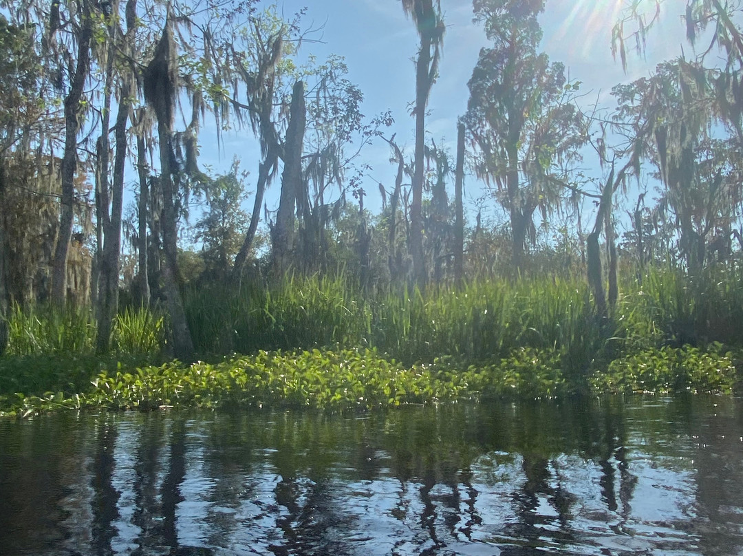 A New Orleans Kayak Tour景点图片