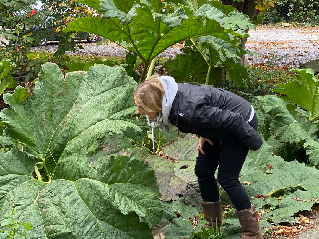 精选塞奥特庄园酒店主图
