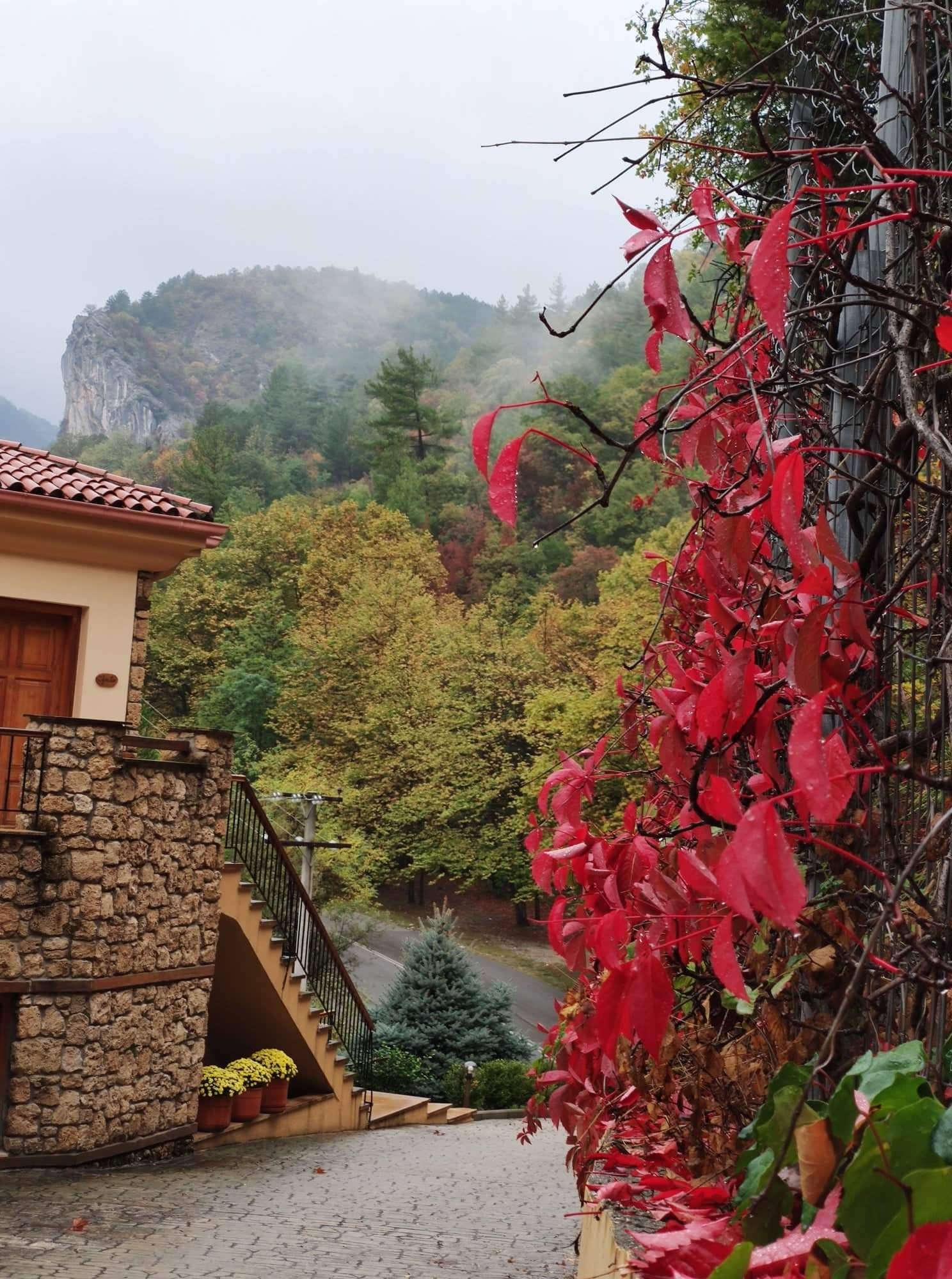 Roes Suites-官方