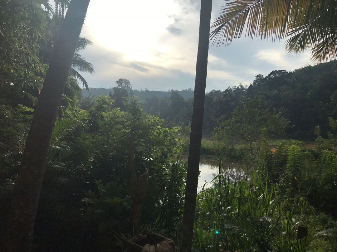 Green View Home Stay主图