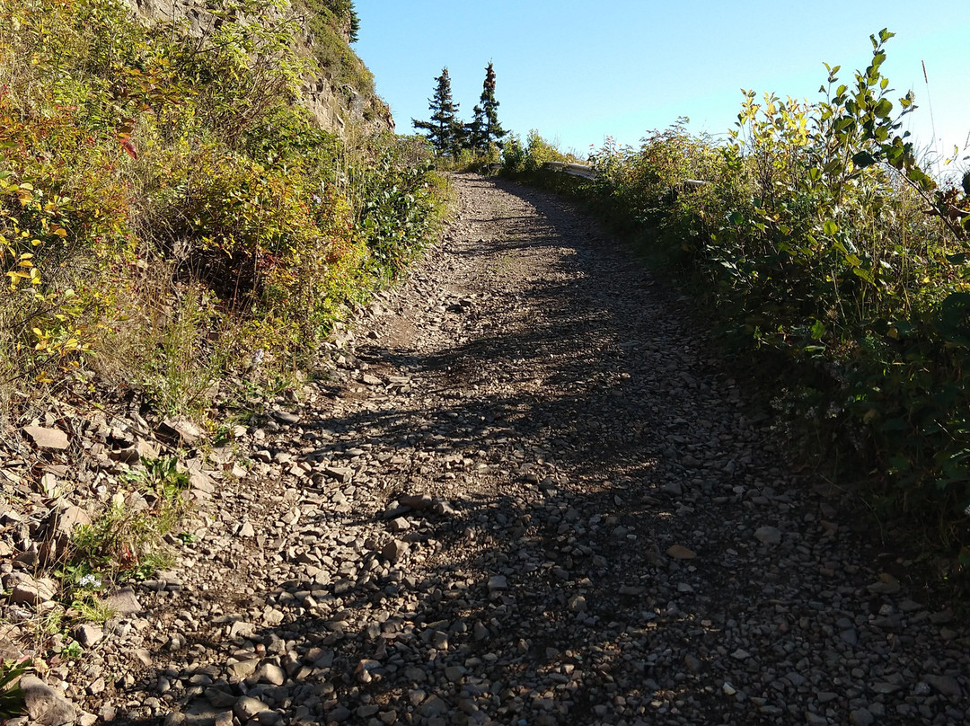 The Lighthouse on Cape d'Or主图