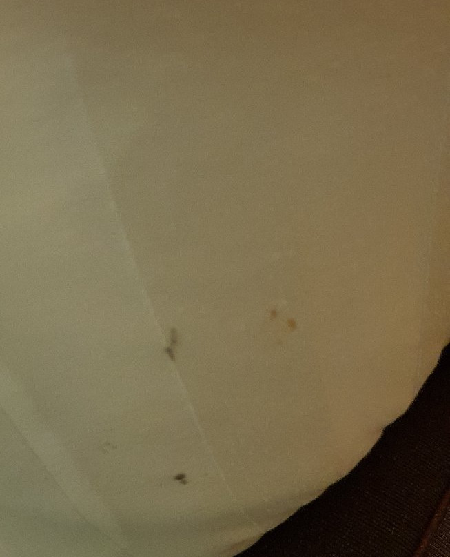 哥打京那巴鲁婆罗洲酒店&机场酒店主图