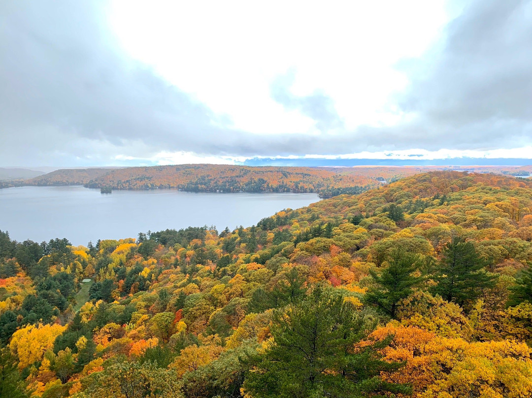 Dorset Scenic Lookout Tower景点图片