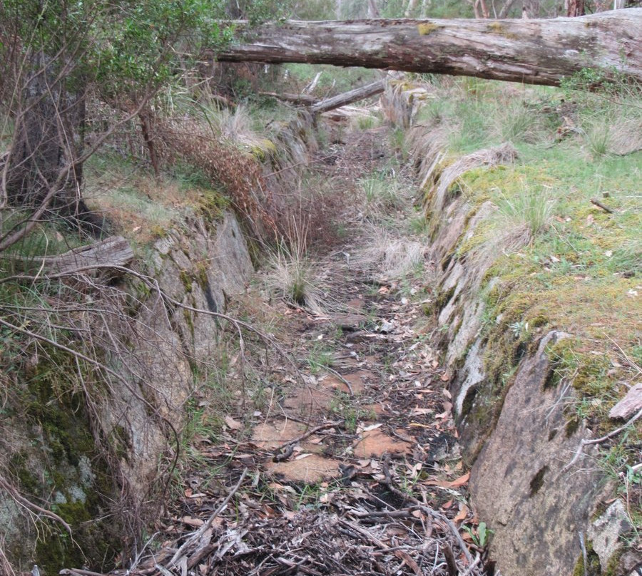 Langi Ghiran State Park-Warrak必去景点