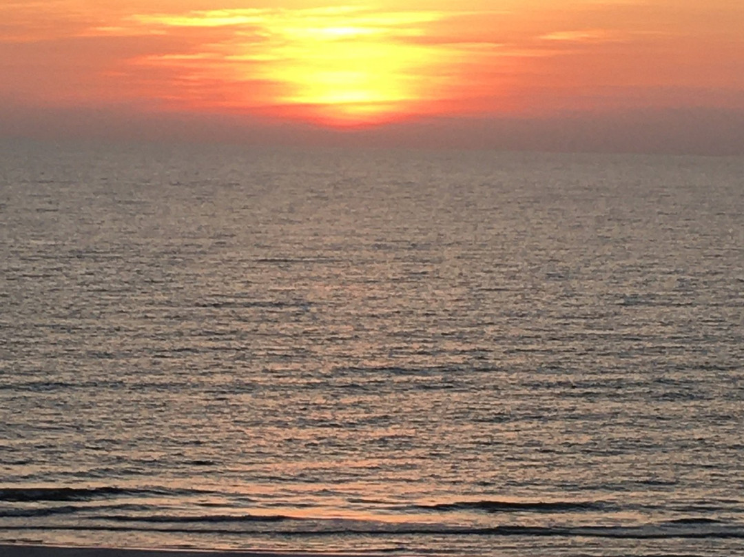 The Surf Club of Marco主图