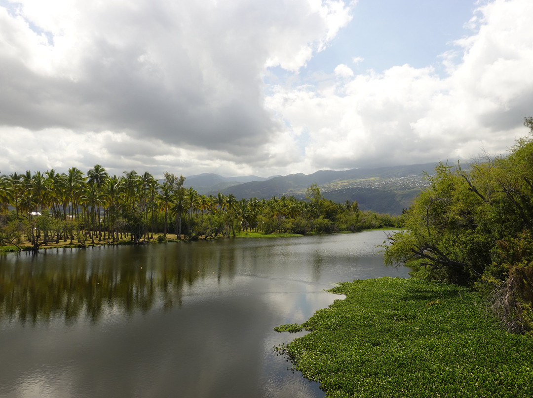 Etang de Saint-Paul - Réserve Naturelle et Site internationale Ramsar景点图片