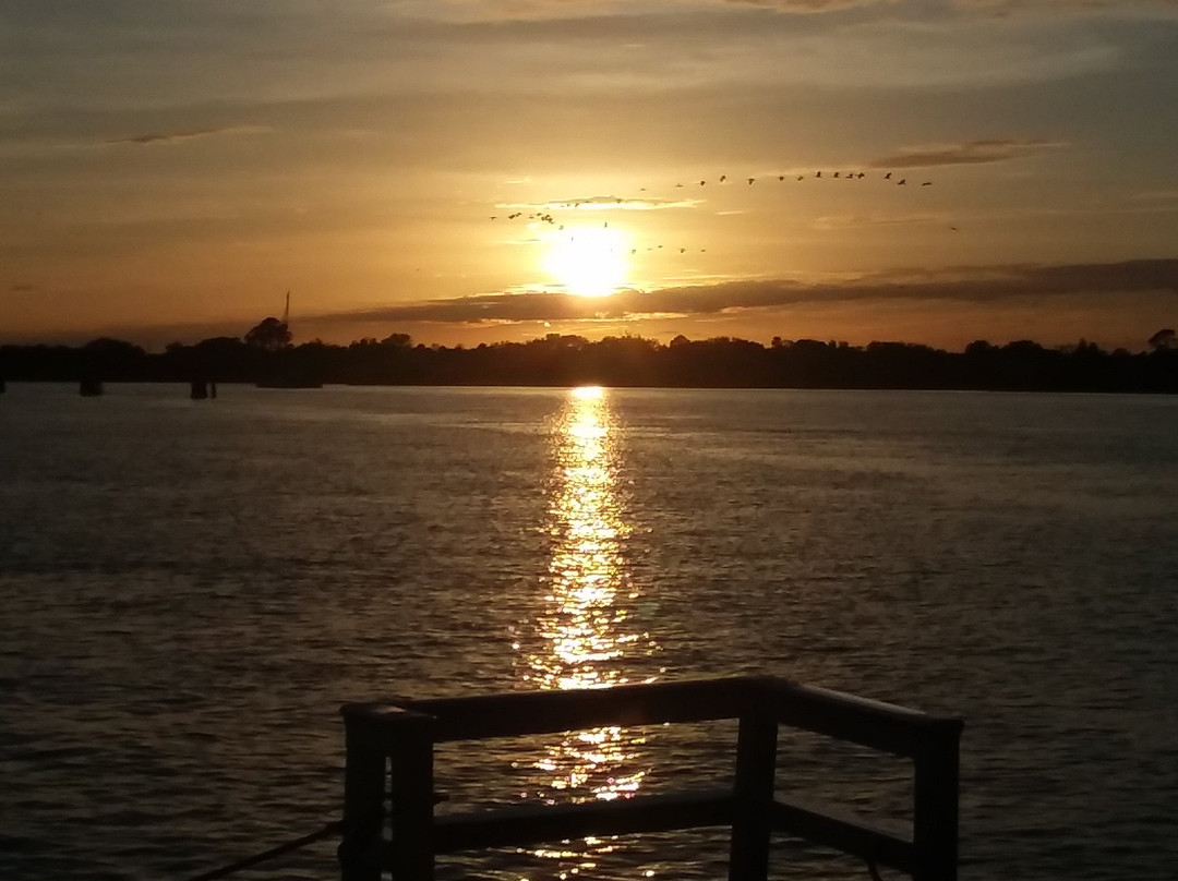 Florida Water Tours景点图片