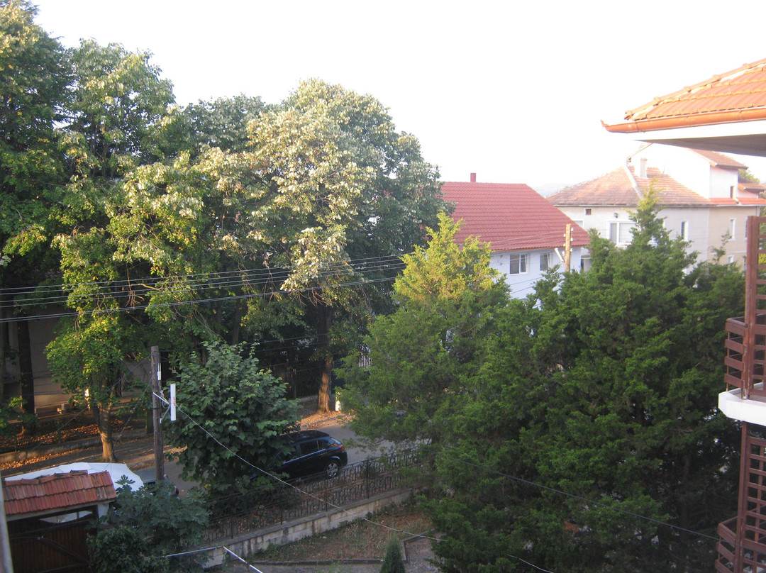 Rogachevo酒店住宿-Hotel Randevu