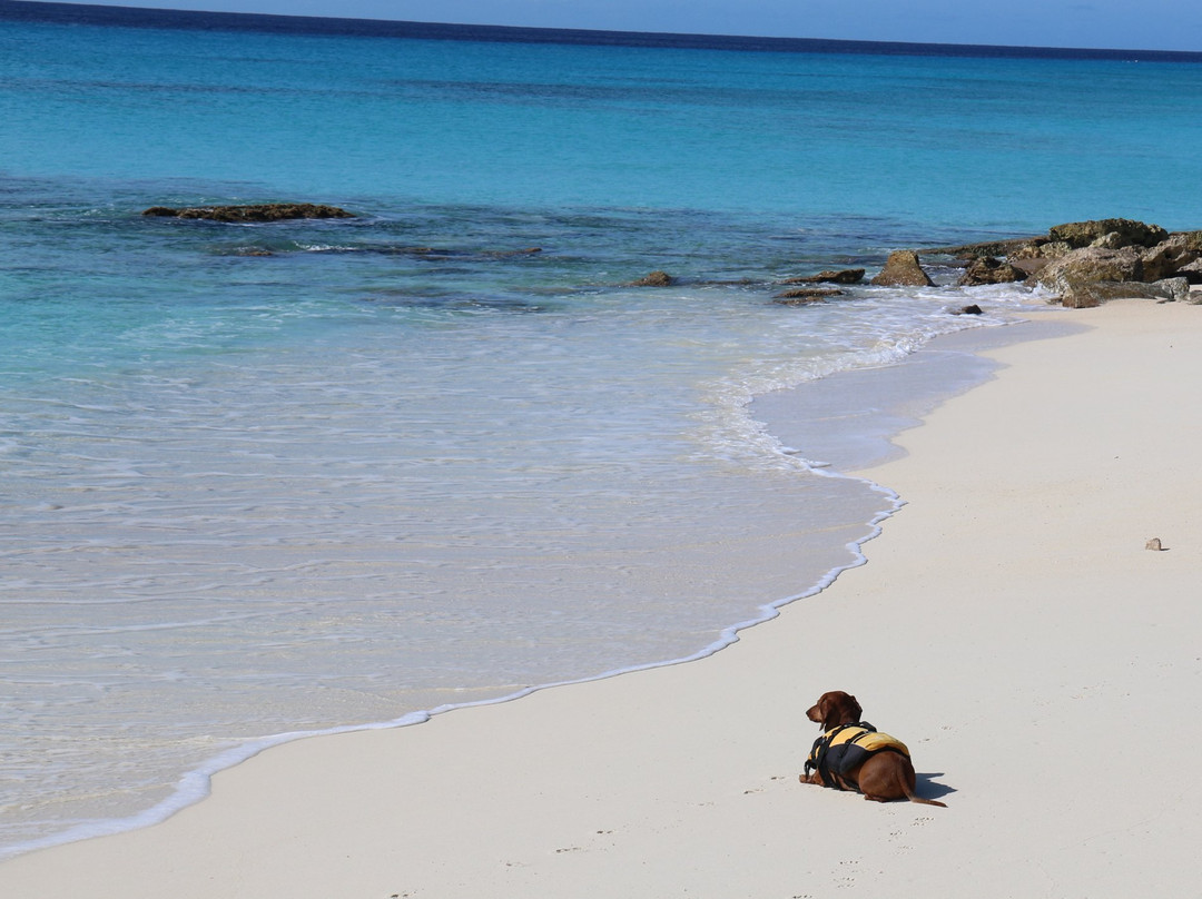 Governor's Beach-特克斯和凯科斯必去景点