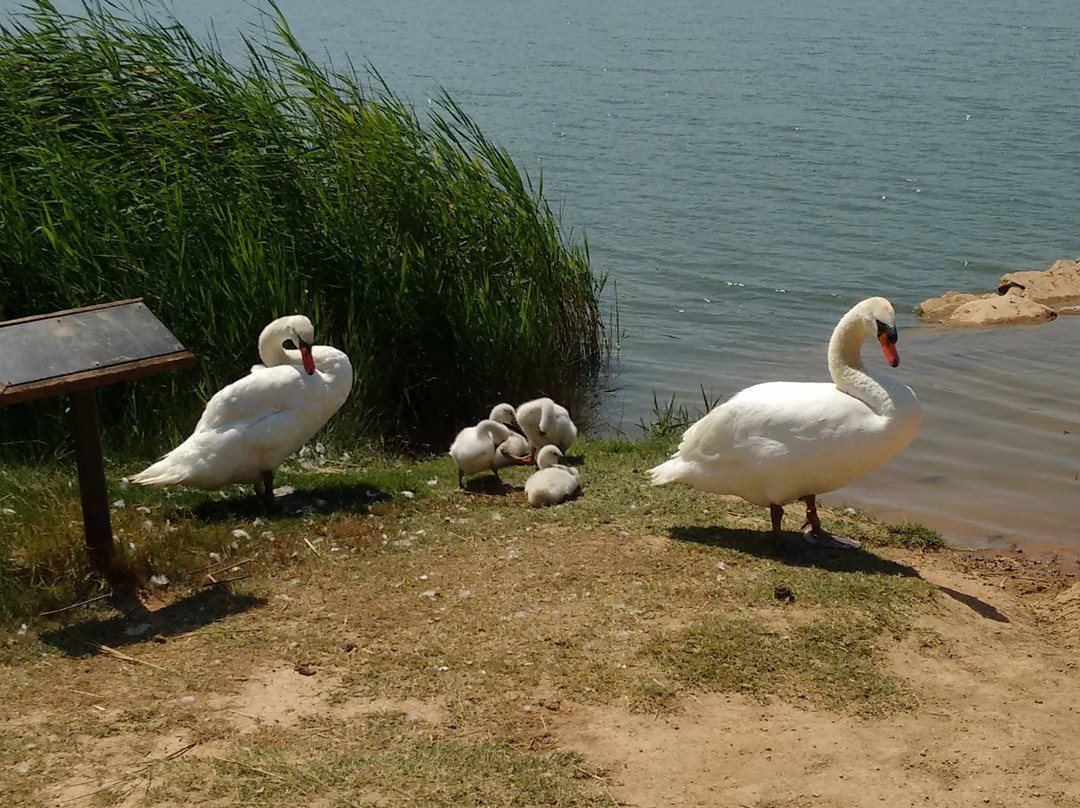 Pantano de La Grajera-洛格罗尼奥必去景点