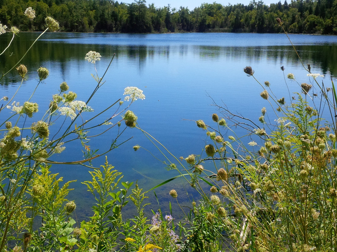 Crawford Lake Conservation Area景点图片