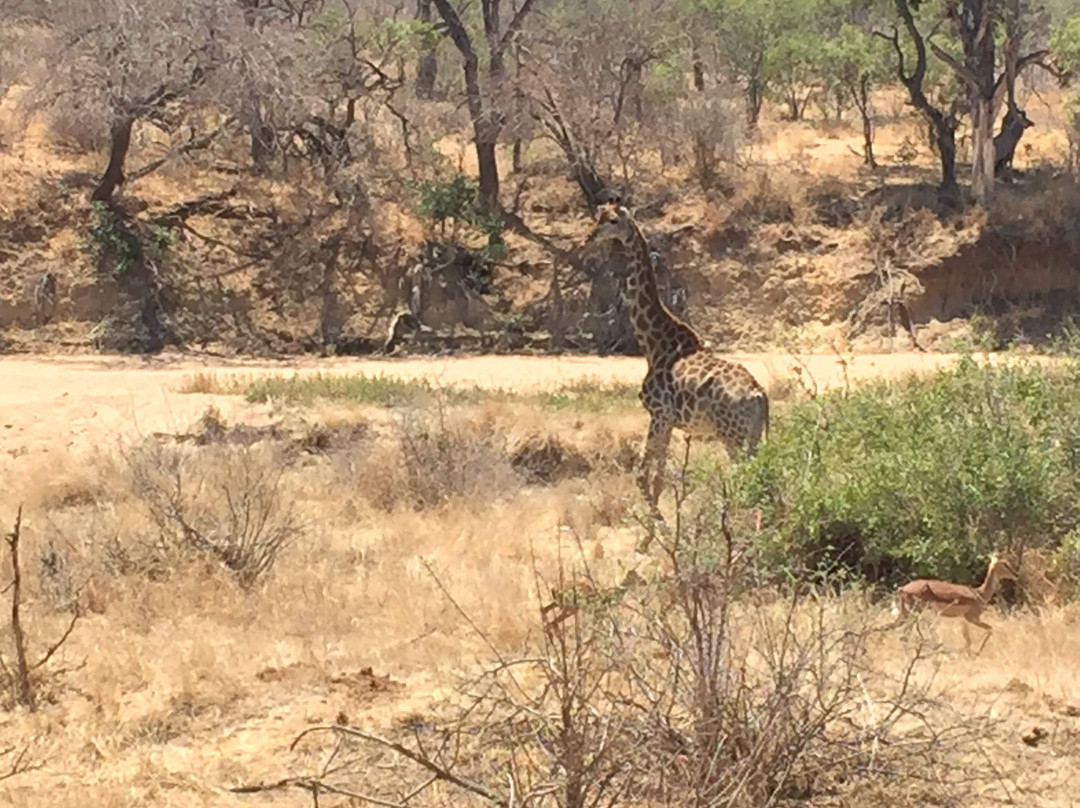荆棘丛游戏山林小屋主图