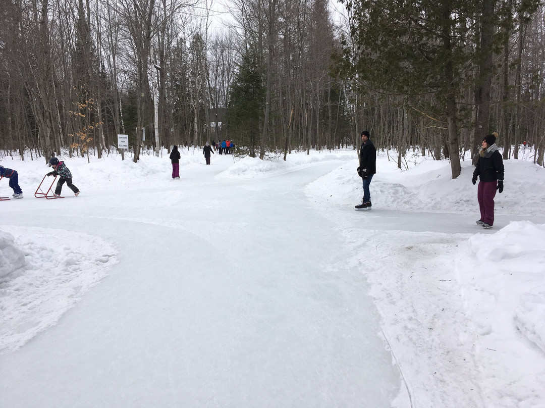 Parc John-H. Molson Outdoor Skating Rink景点图片