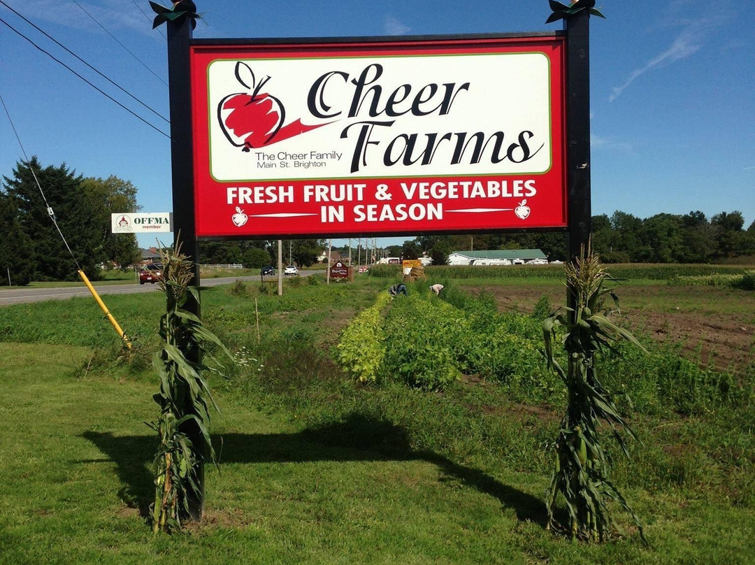 Cheer Farms景点图片