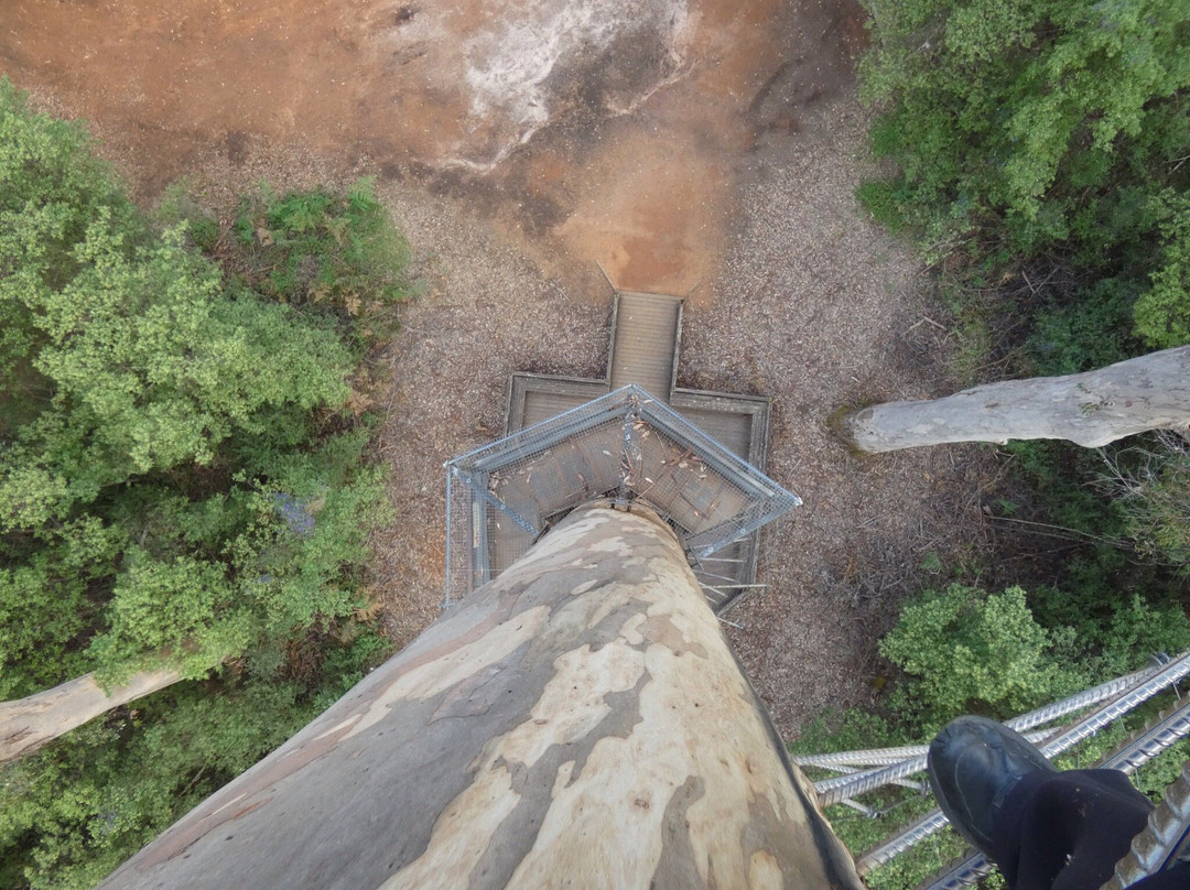 Warren National Park-彭伯顿必去景点