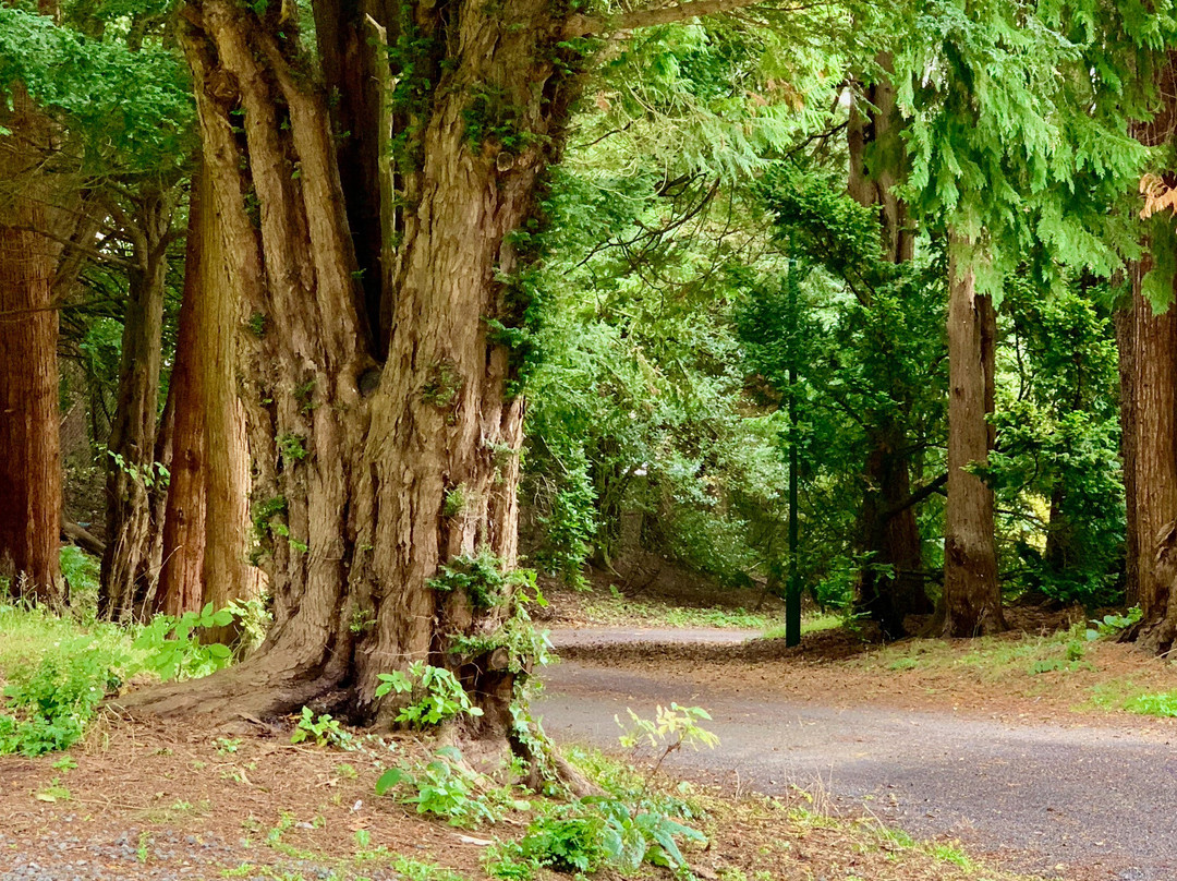 巴尔卡里之家酒店主图