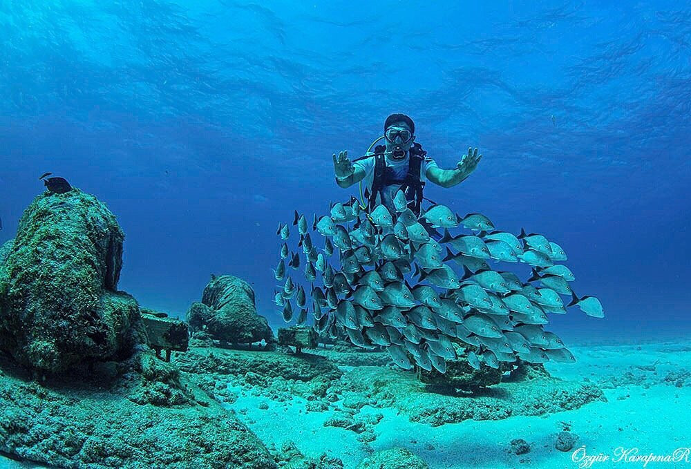 Museo Subacuático de Arte-金塔纳罗奥州必去景点