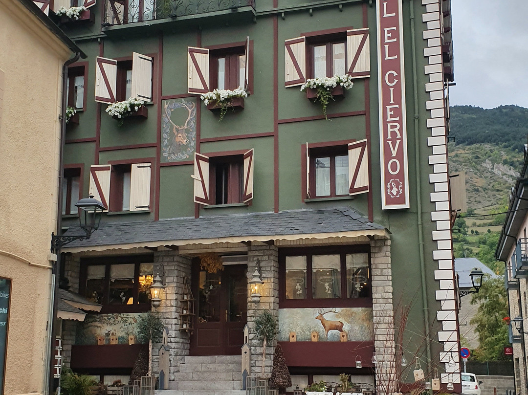 Hotel El Ciervo主图