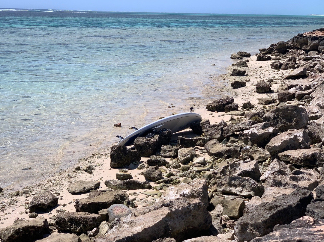 Oyster Stacks-埃克斯茅斯必去景点