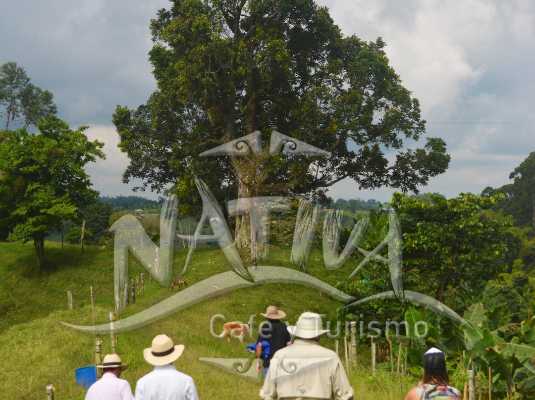 Nativa Cafe & Turismo-Filandia必去景点