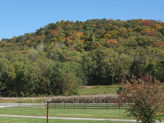 Potter旅游景点-Riverwood Winery