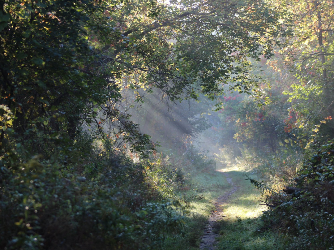 Shiawassee National Wildlife Refuge景点图片