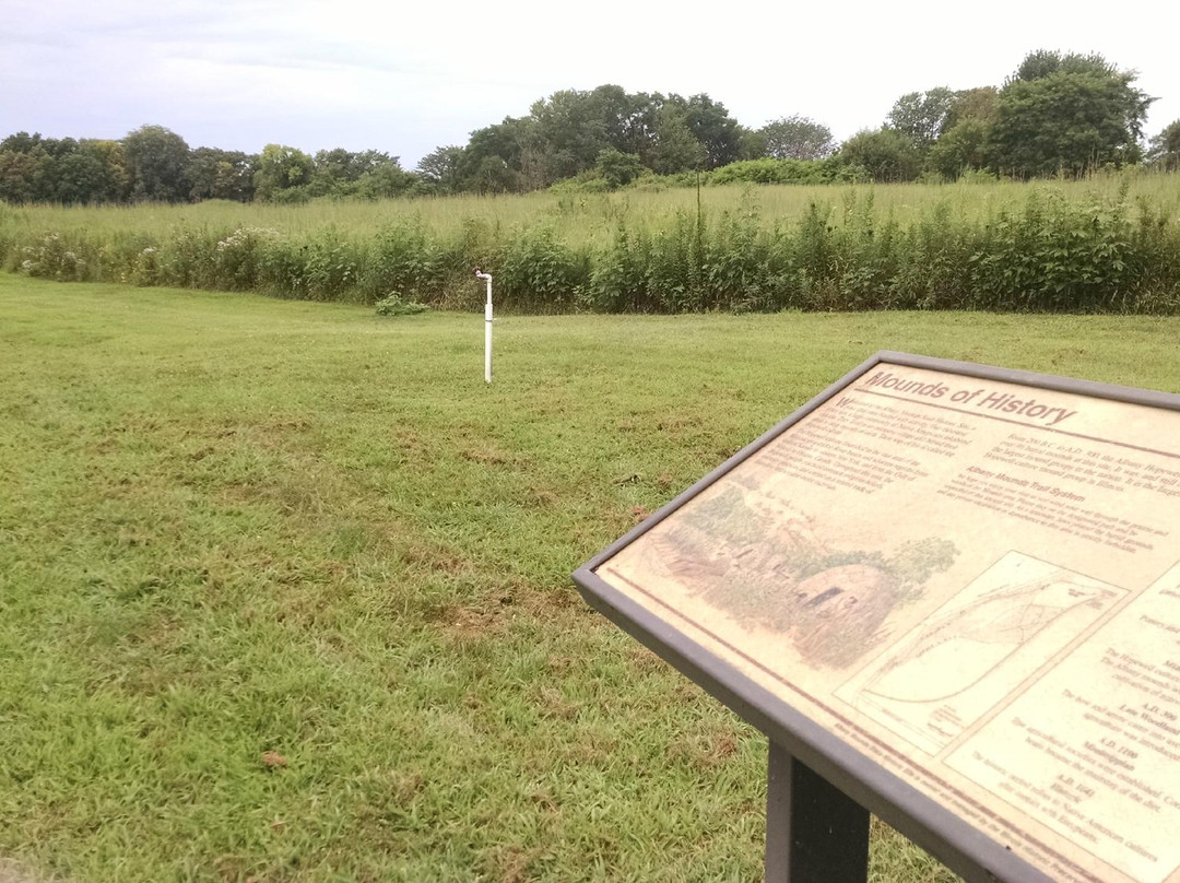 Albany Mounds State Historic Site景点图片