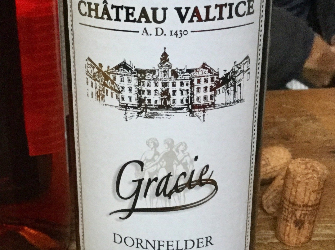 Vinařská stodola (Wine barn) CHÂTEAU VALTICE-Valtice必去景点