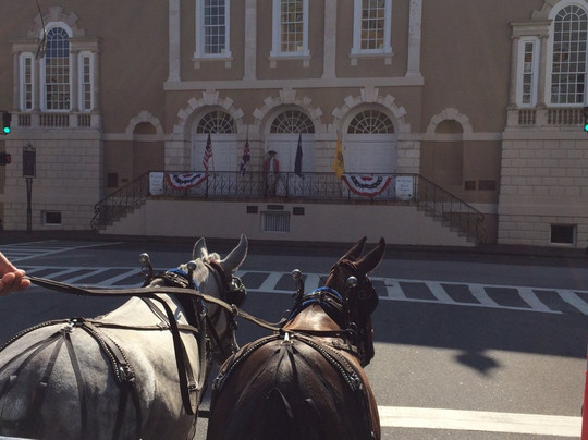 Charleston Adventures