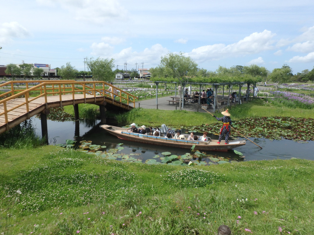 Suigo Sawara Ayame Park景点图片