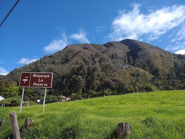 Cerro de  Majuy景点图片