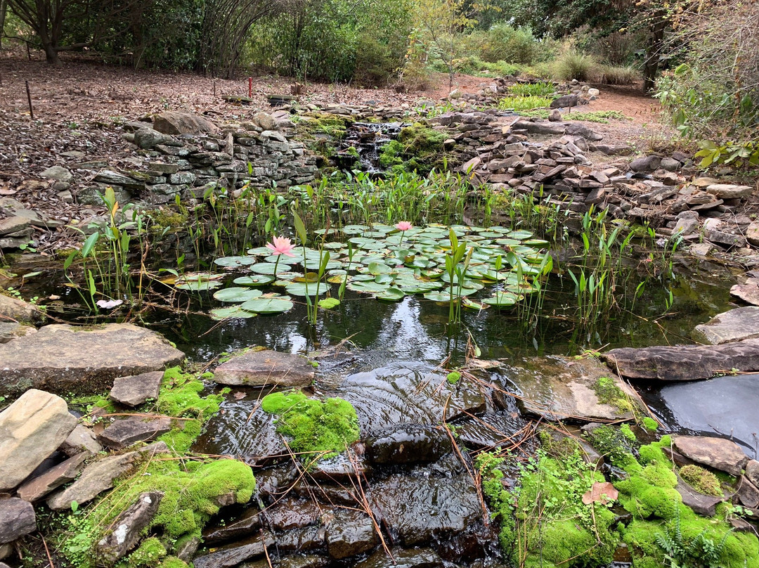 Sandhills Horticultural Gardens景点图片