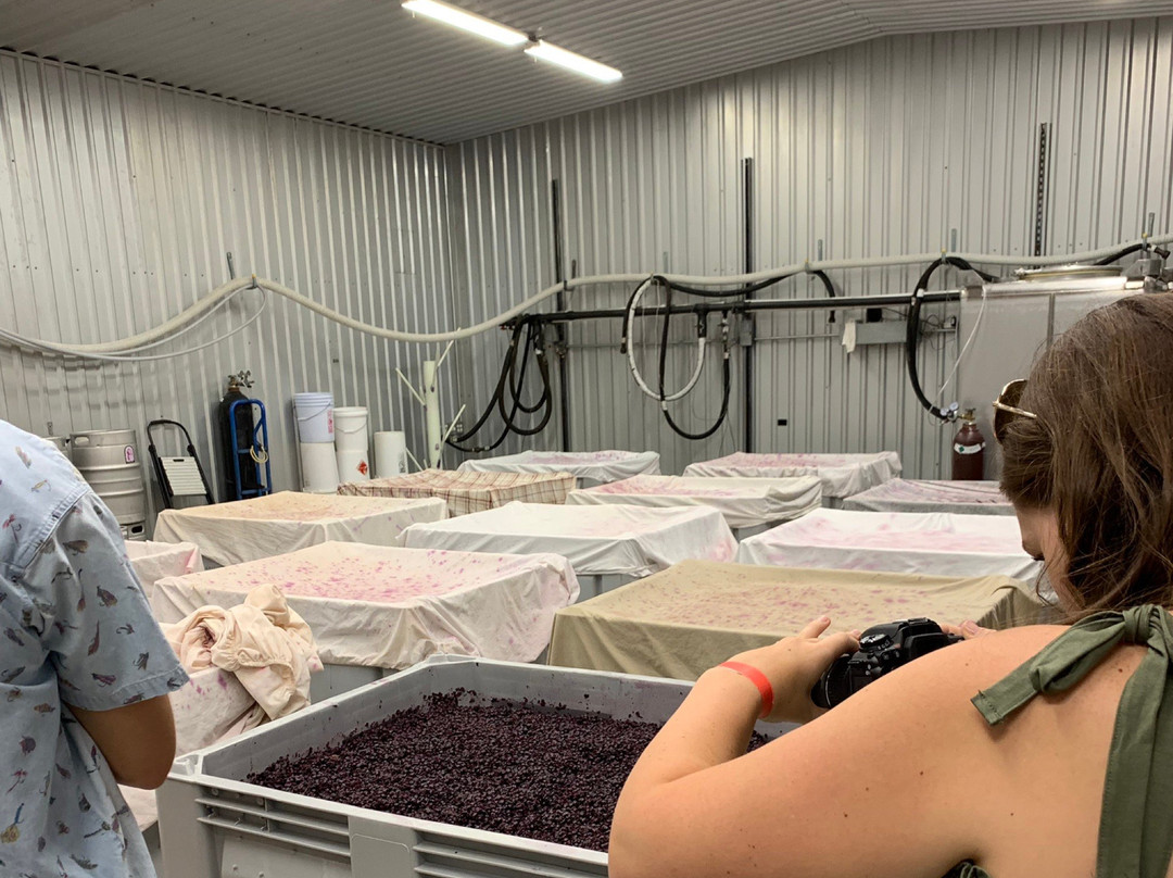 Hawk's Shadow Winery-Dripping Springs必去景点