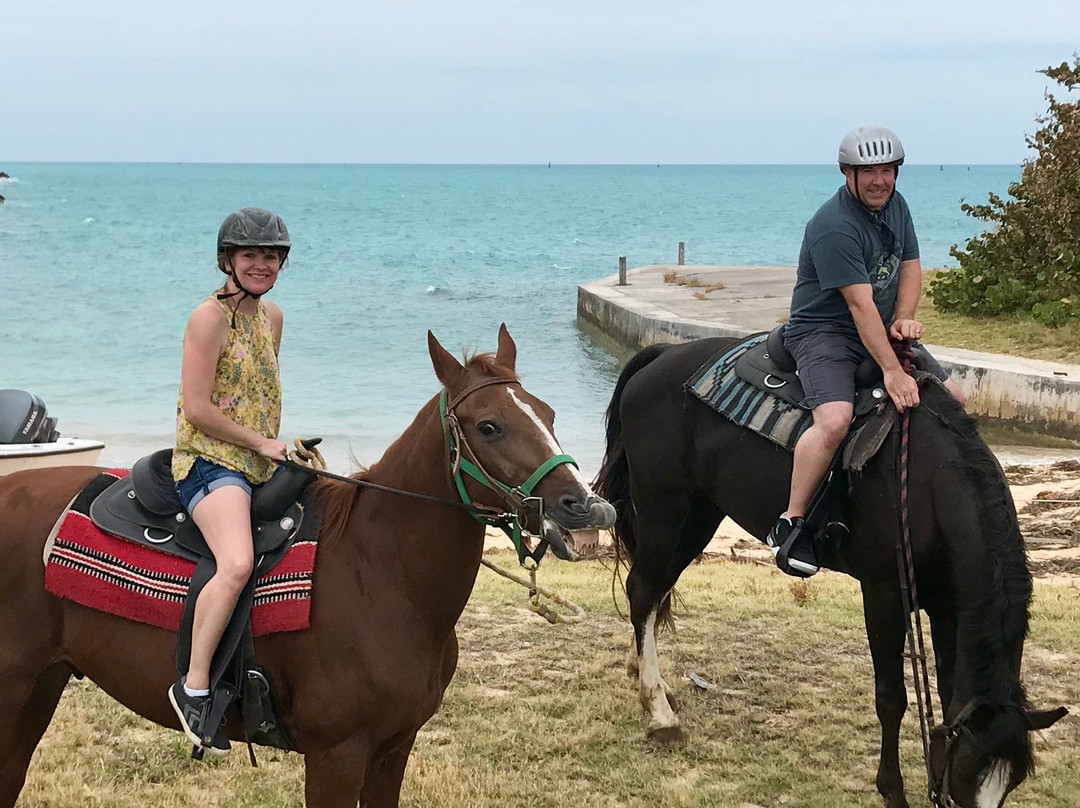 Moran Meadows-圣乔治必去景点