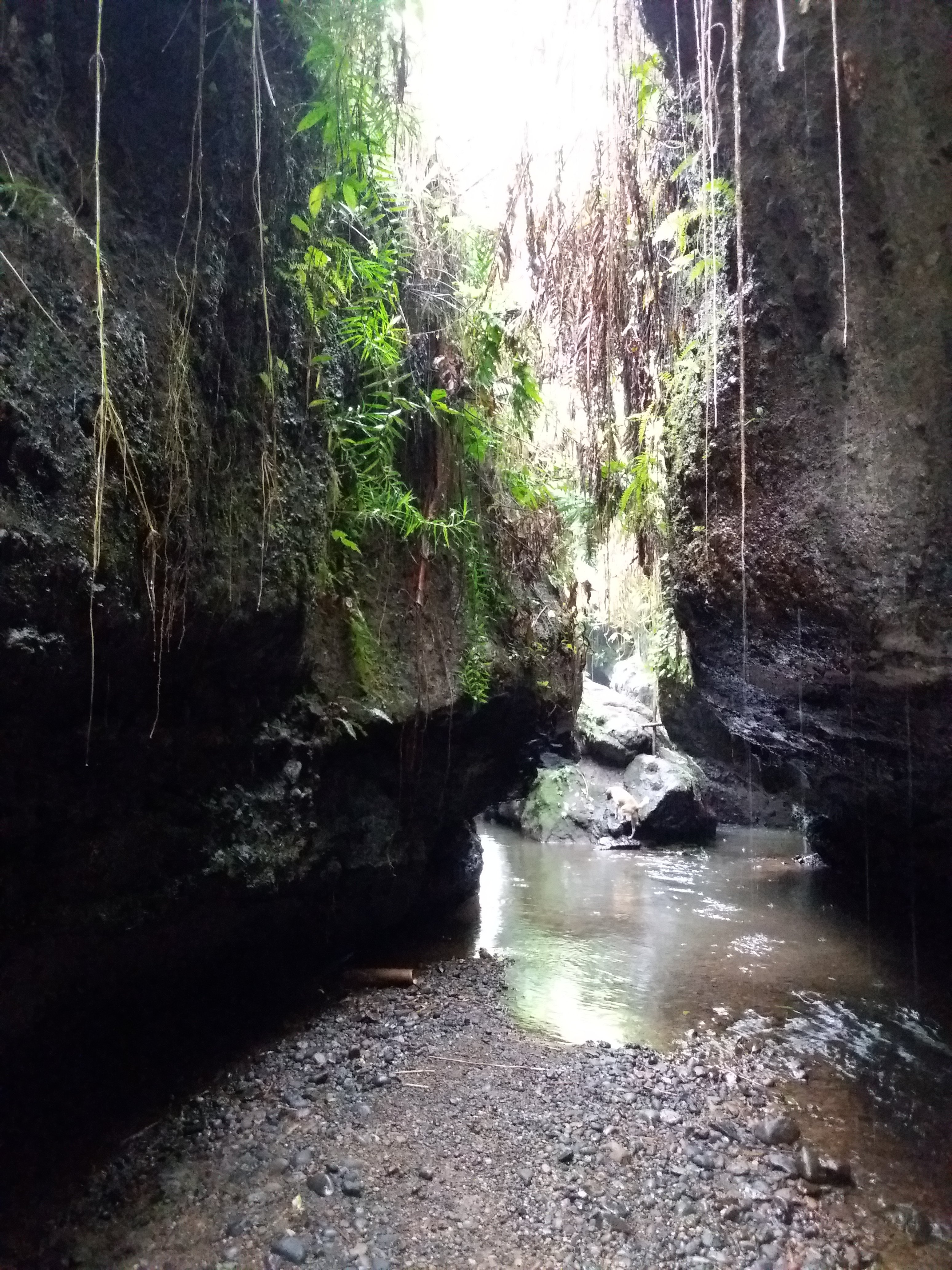 Bunga Homestay-portrait
