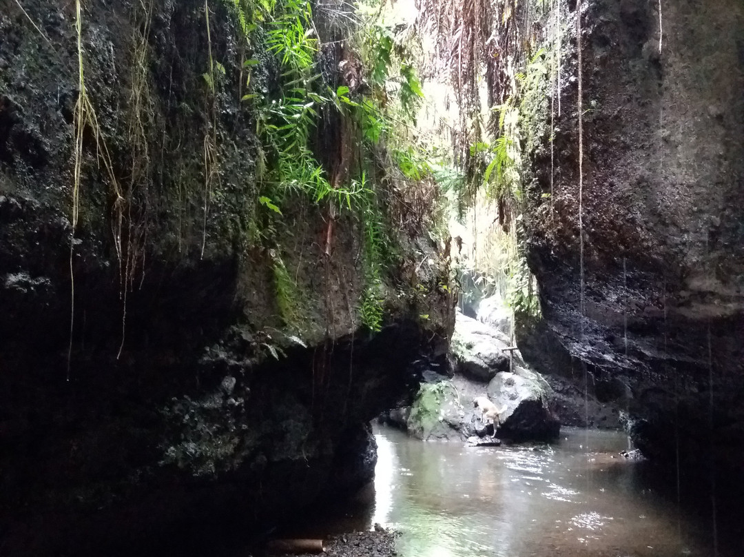 Bunga Homestay主图