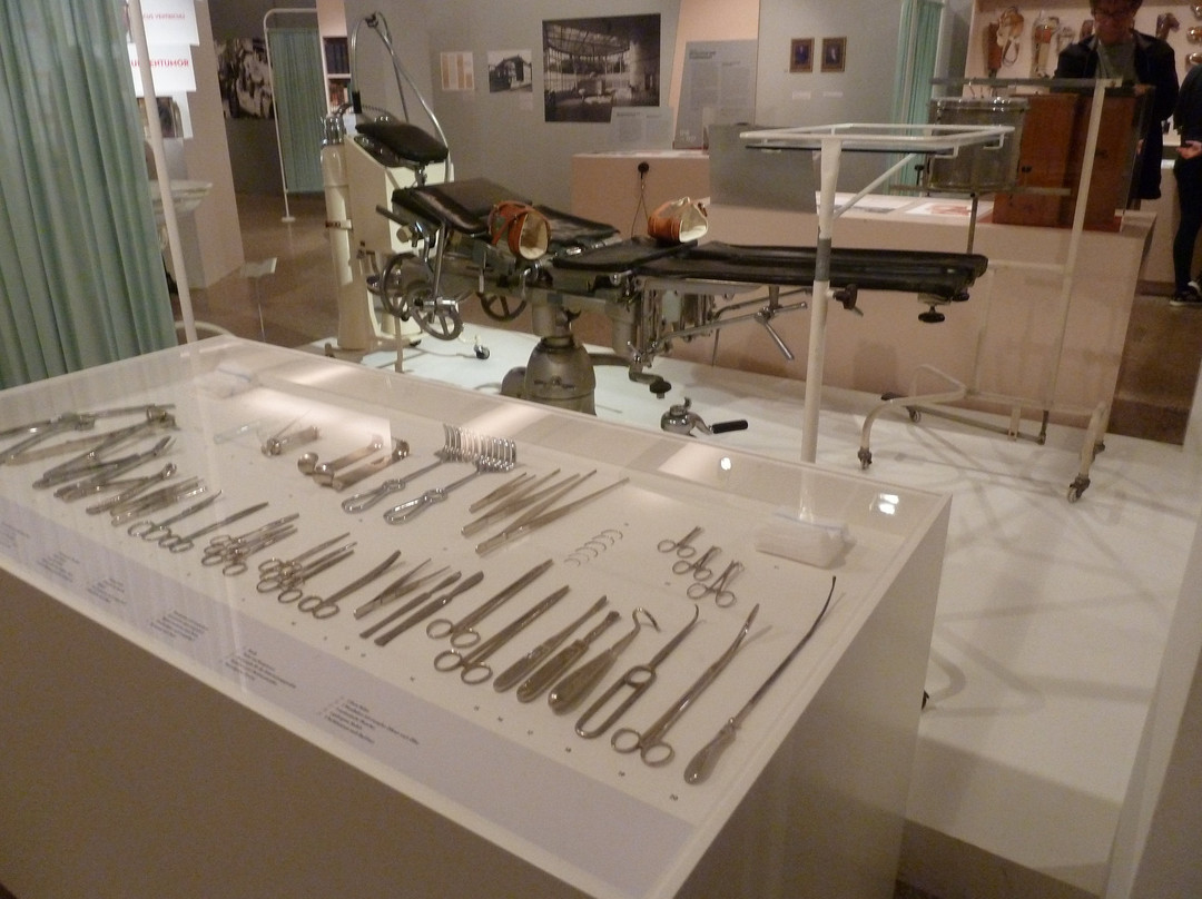 Berlin Museum of Medical History of the Charite-柏林必去景点