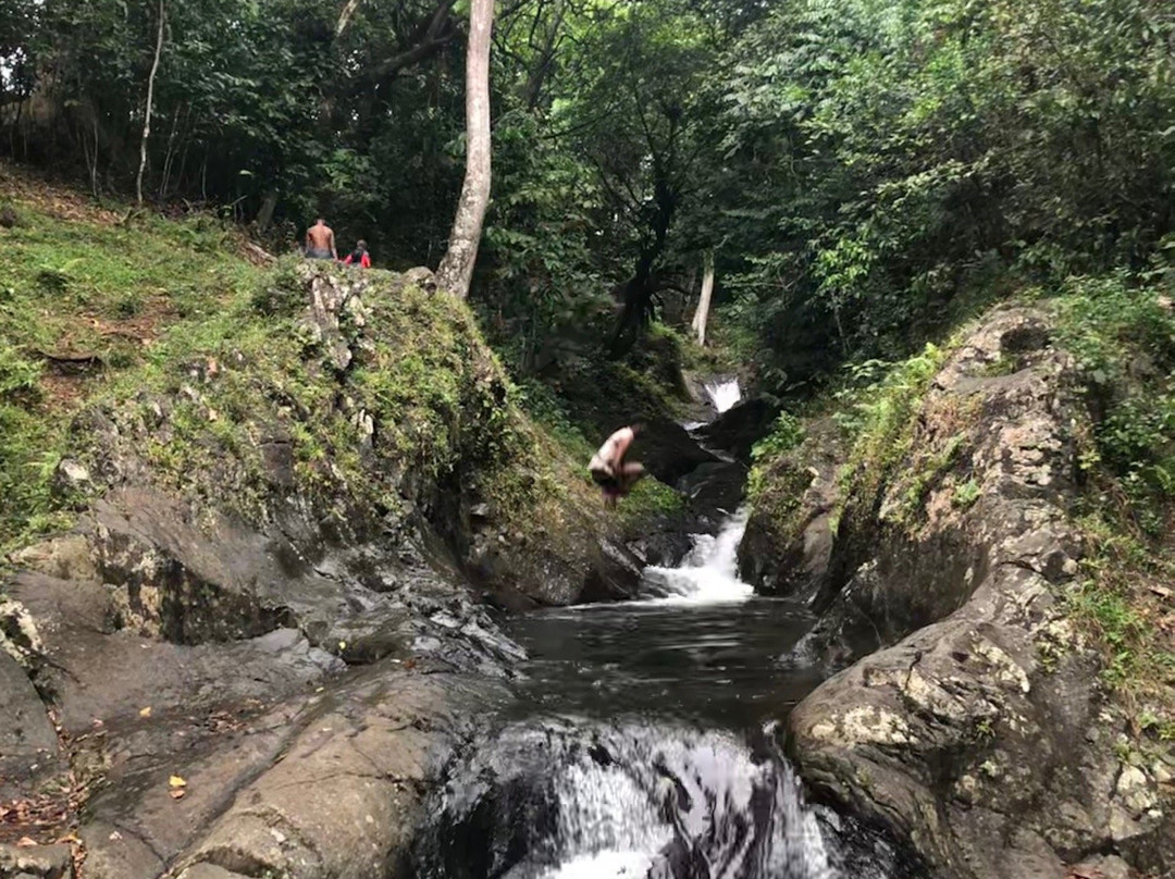 Waitavala Natural Rock Waterslide景点图片