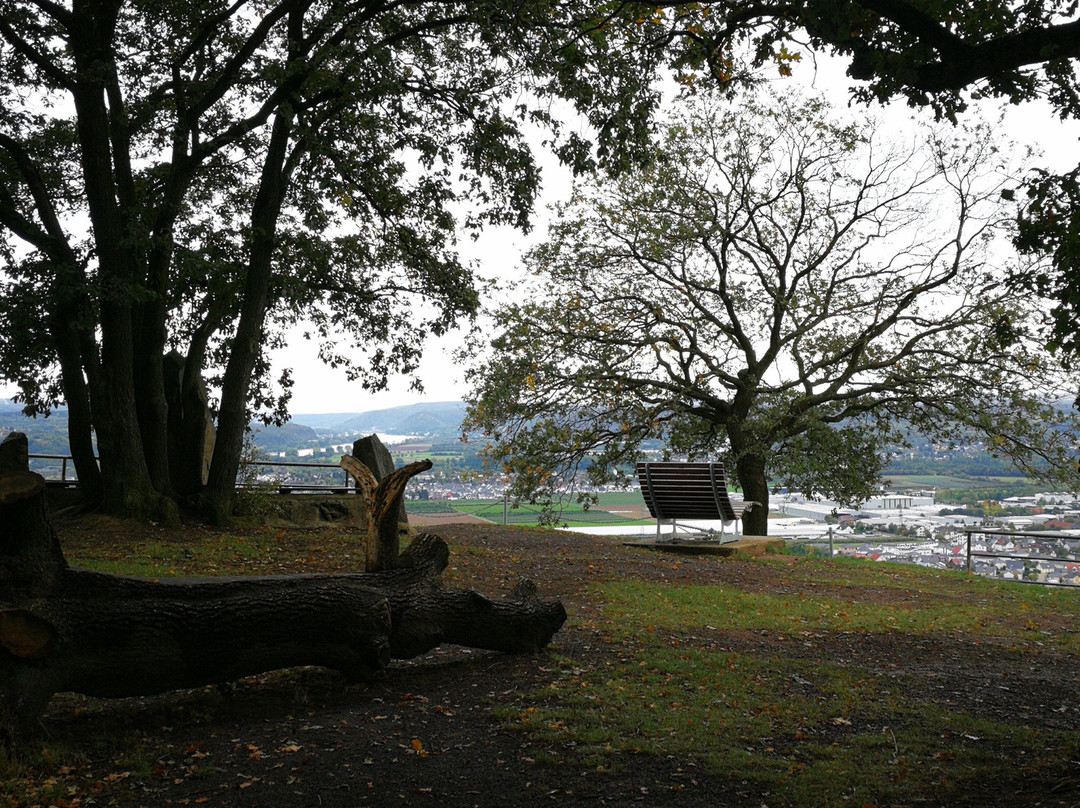 Erpeler Ley-Erpel必去景点