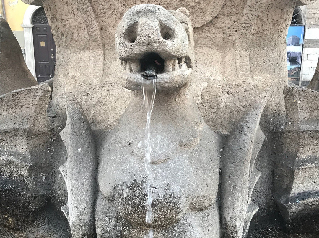 Fontana dei Draghi景点图片