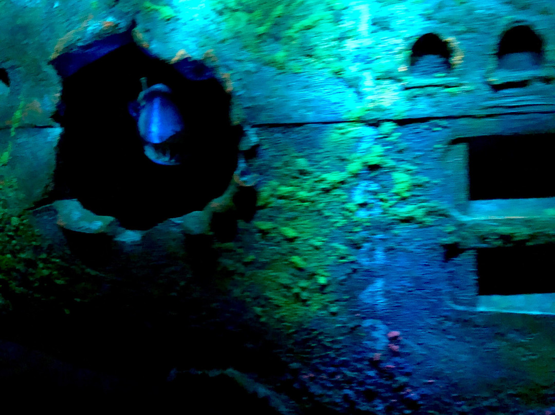 The Seas with Nemo & Friends-奥兰多必去景点