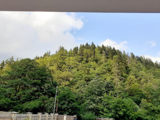 null-Borjomi-Kharagauli National Park