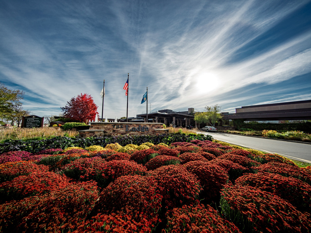 格兰德日内瓦水疗度假酒店主图