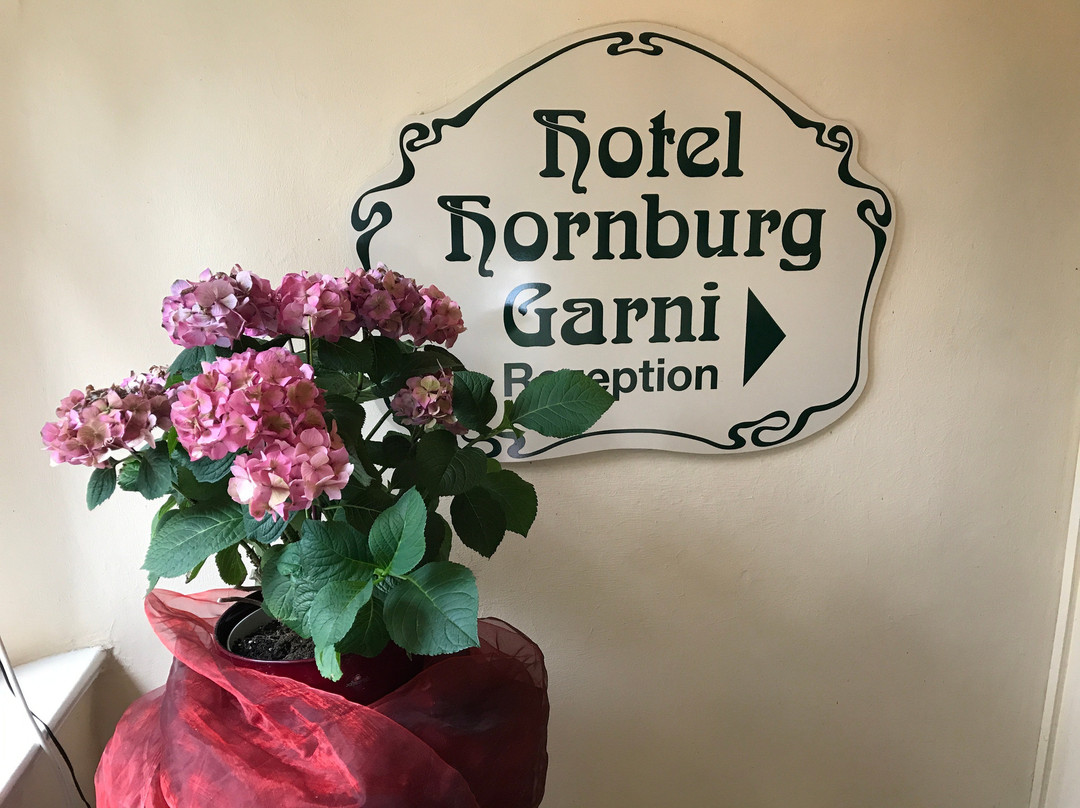 Hotel-Garni Hornburg主图