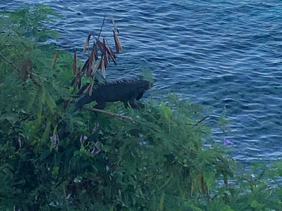 Gallows Point Resort主图