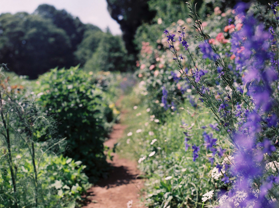 House of Sakano Family at Mitsukaido Climate Museum-常总市必去景点