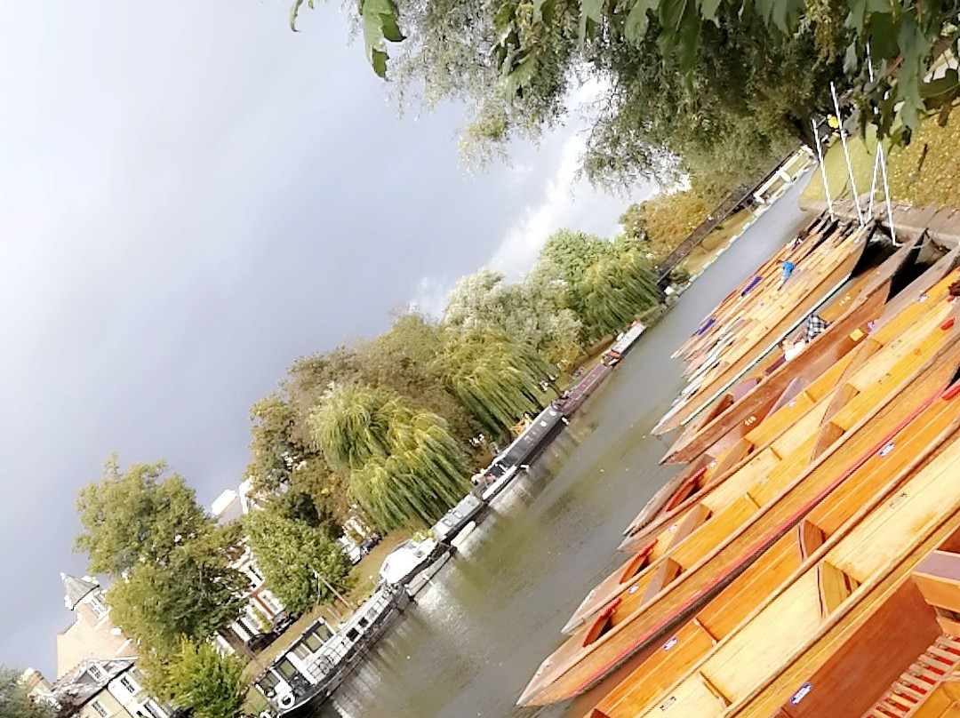 Cambridge Punting Tours景点图片